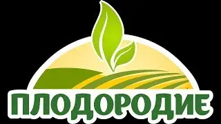 Картофель - ведро с куста!
