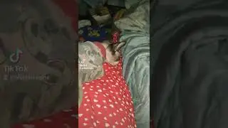 #кошка
