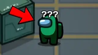 Playing as Fortegreen in Among Us...