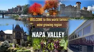 Napa Valley Ultimate Guide to Best Wineries, Hotels, Restaurants and Things to Do on a Budget