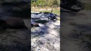 Slow Ride on the Mountain Bike Trail // Bike #Shorts