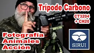 Trípode / Tripie para fotos de fauna y acción Sirui CT 3204 Cabezal CH20  - EN ESPAÑOL