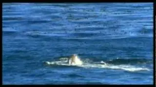 Just one minute [2]