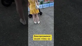 17 августа 2024 г.