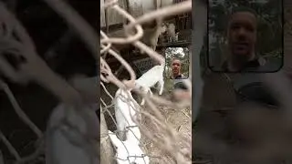 Bora recuperar as energias no sítio