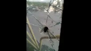 Best driver in PUBG