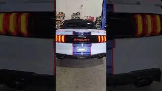2023 Shelby Super Snake with Borla ATAK and H pipe exhaust sound!! #Shorts #Mustang