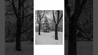 A Pennsylvania winter day in photographs. #photography #trending