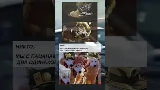 #meme