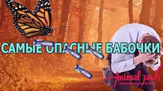 The most dangerous butterflies in the world