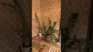 Подписывайся! Здесь про жизнь в Питерской квартирке✨