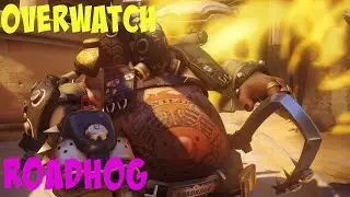 Overwatch Gameplay - Roadhog