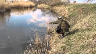 Щука на съедобку