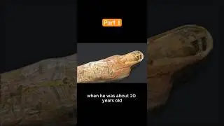 Shocking! The truth about mummies and their preservation methods