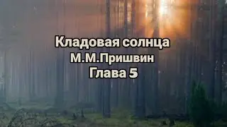 "Кладовая солнца"/М.М.Пришвин/Глава 5
