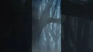 Страшные истории-Хозяин леса