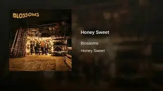 Blossoms - Honey Sweet (Sub Español)