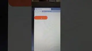 Flutter Animated Widget