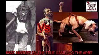 APBT  Champion Homer 4XW  ROM Vs Champion Jeep 4XW ROM Not The Complete True History