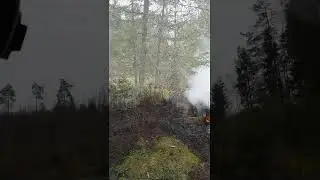 Выезд в Таллинне