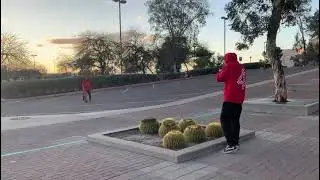 LidoTeezy skating