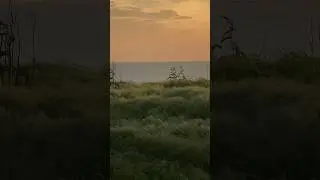 для счастья нужно так мало…🥹 