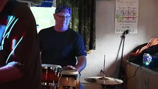 New Lizards Live