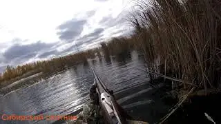 Лысуху раздолбил