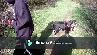Dog Walk april 6th 2019 VLOG