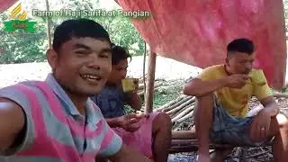 Sarifa Farm: Day-13 Plowing and finishing touch Part-2