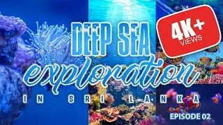 Exploring the Deep Sea for Shipwrecks in Kollupitiya - Sri Lanka - EPISODE 02