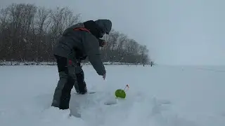 Зимняя рыбалка. Екатериновская Воложка.