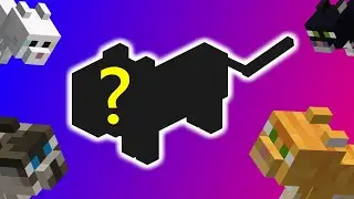 NEW CAT COMING TO MINECRAFT