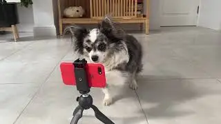 МЫ УХОДИМ С ЮТУБА!