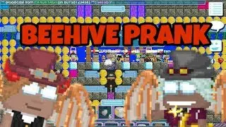 Growtopia - Beehive Prank! Ft.Zack