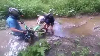 Покатушки в лесу 