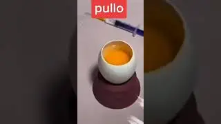 ovo chocando fora da casca 