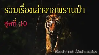 รวมเรื่องเล่าจากพรานป่า ชุดที่ 10