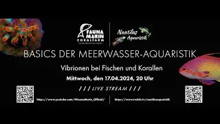 Basics der Meerwasseraquaristik - Vibrionen bei Fischen und Korallen
