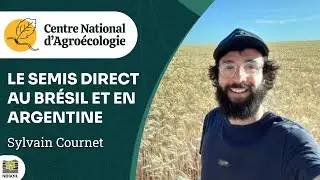 SEMIS DIRECT et ÉLEVAGE au BRÉSIL, en ARGENTINE et dans le GERS, retours terrain, Sylvain Cournet