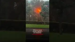 В МИНСКЕ МОЛНИЯ УДАРИЛА В ДЕРЕВО: В 