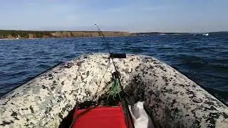 ходим
