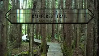 Scenic Vancouver Island: Rain Forest