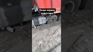 19 апреля 2024 г.