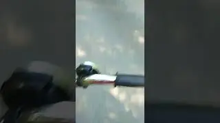 16 августа 2024 г.