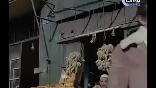 ابوسريع سالم دائرة الانتقام