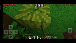 Minecraft Survival Series 1 (Finding a village)