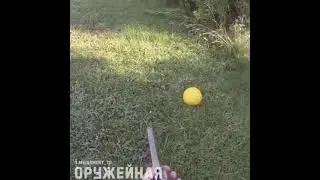 Guns