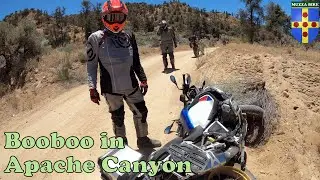Booboo in Apache Canyon