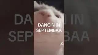 Do you remember the 21st night of September?
